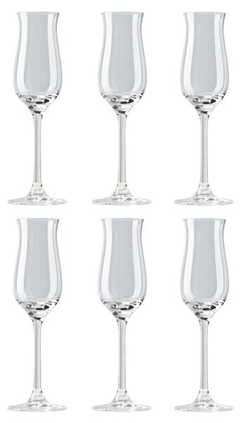 Rosenthal DiVino grappa glass 10 cl 6-pack clear