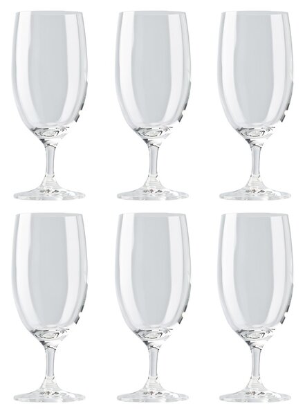 Rosenthal DiVino beer glass 40 cl 6-pack clear