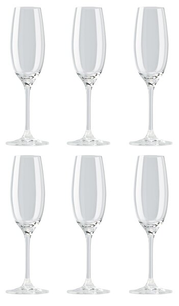 Rosenthal DiVino champagne glass 22 cl 6-pack clear