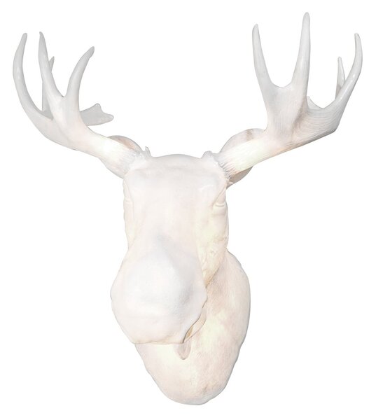 Northern Moo wall lamp White