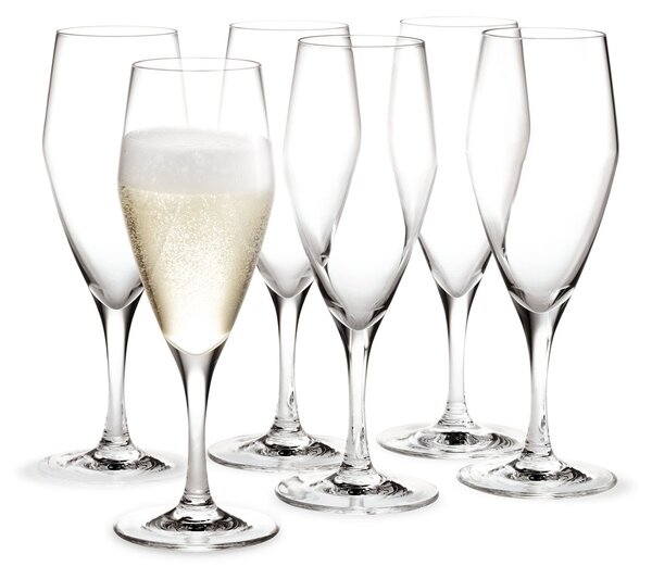 Holmegaard Perfection champagne glass 23 cl 6 pack Clear