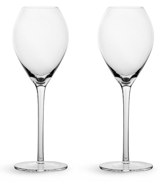 Sagaform Saga champagne glass 2-pack Clear