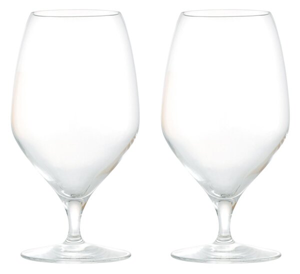 Rosendahl Premium beer glass 60 cl 2 pack Clear