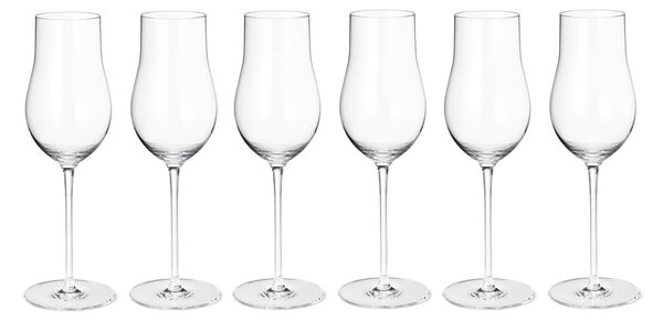 Georg Jensen Sky champagne glass 25 cl 6-pack Clear