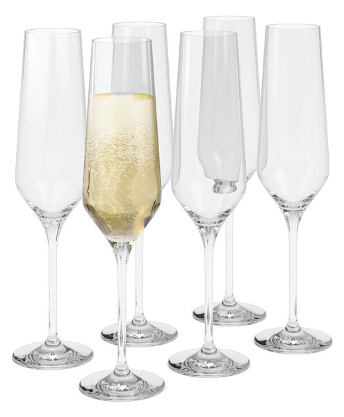 Eva Solo Legio Nova champagne glass 26 cl 6-pack