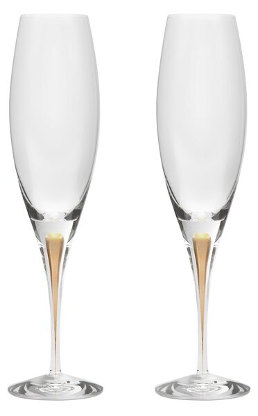 Orrefors Intermezzo champagne glass 26 cl 2-pack Gold