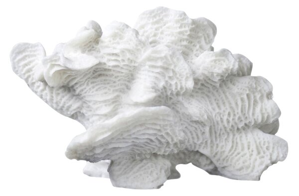 Mette Ditmer Coral fan White