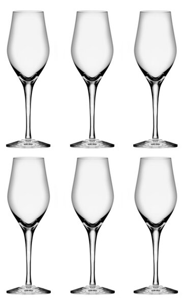 Orrefors Sense champagne glass 25.5 cl 6-pack Clear