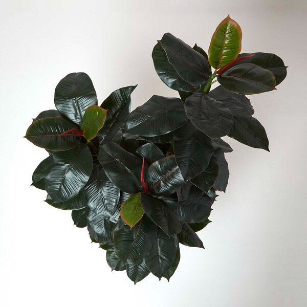 Homescapes Artificial Rubber Plant in Pot 130 cm Tall Fake Ficus