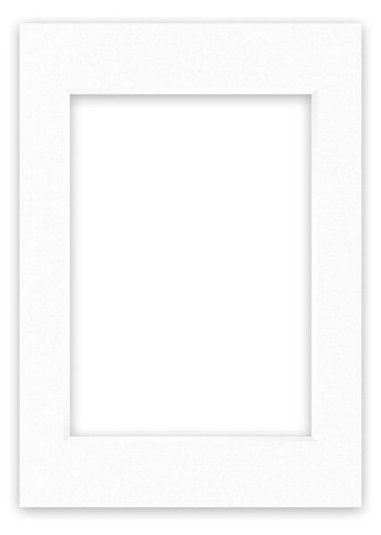 Nielsen Conservation White Picture Mount White