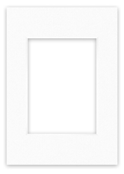 Nielsen Conservation White Picture Mount White