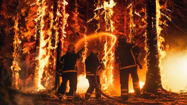 Photography Professional Firefighters Extinguishing Large, High-Priority Part, gorodenkoff