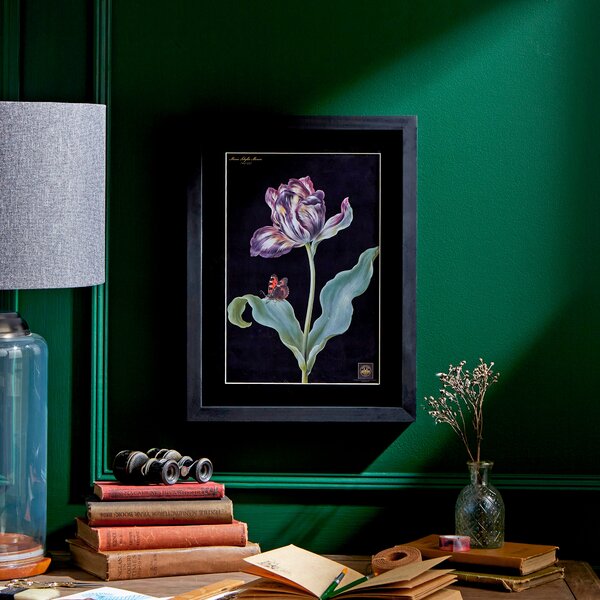 Tulip Framed Print Black