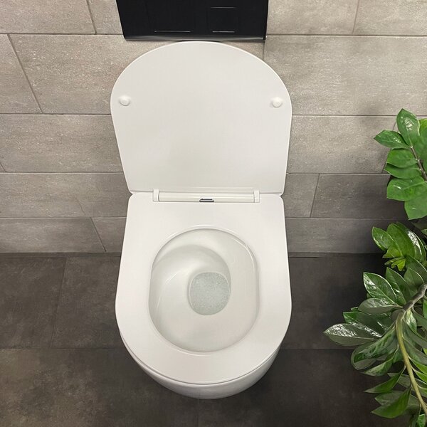 Toilet bowl Rea Eddy Tornado Rimless Flat N