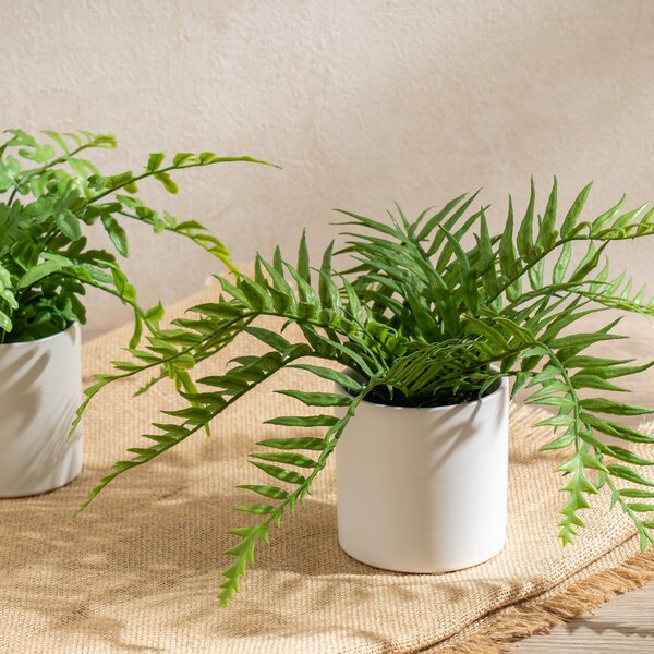 Set of 2 Artificial Ferns in Ceramic Plant Pots