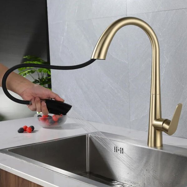 Kitchen faucet REA Ross BRUSH GOLD