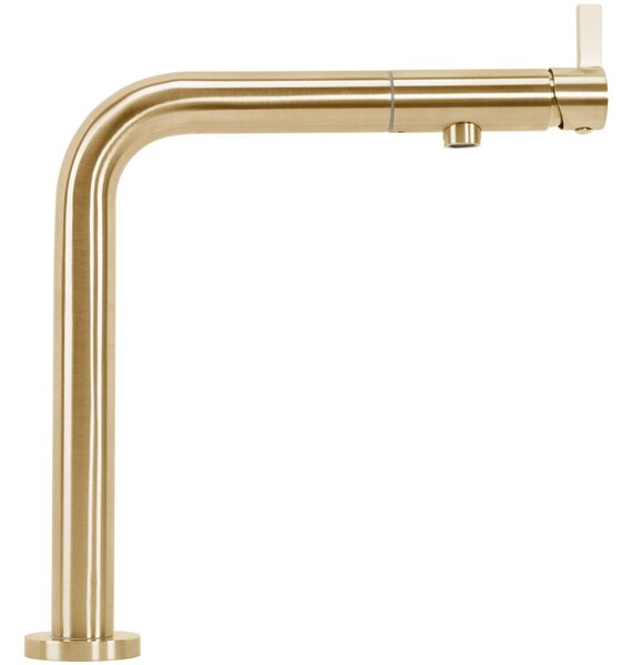 Kitchen faucet REA COLE Brush Gold