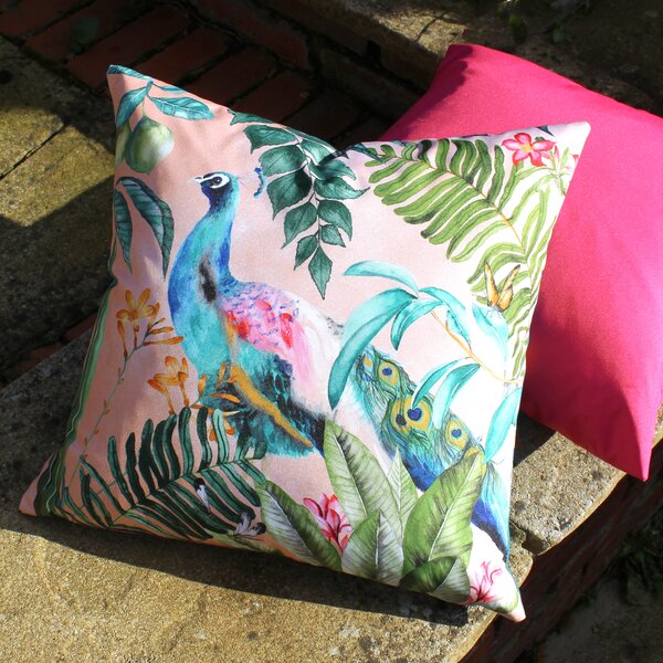 Peacock Outdoor Filled Cushion 43cm x 43cm Blush