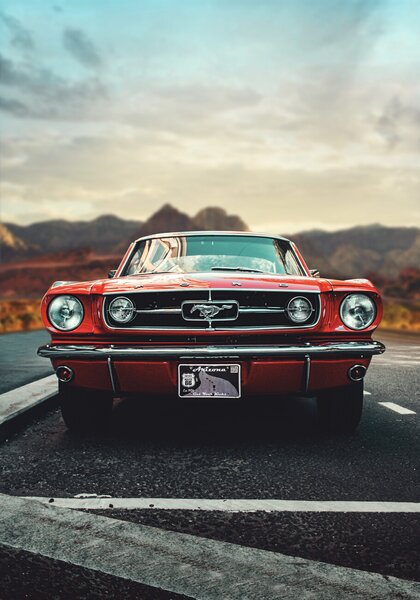 Photography Mustang Love, Fadil Roze, (26.7 x 40 cm)