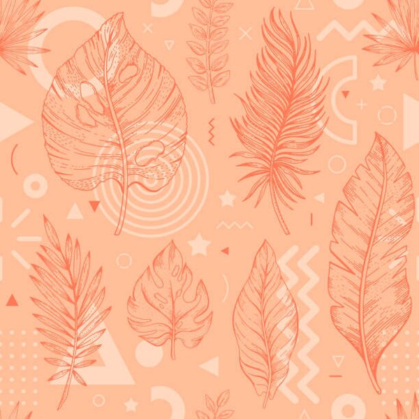Art Photography 2024 peach palm leaf color pattern., o-che, (40 x 40 cm)