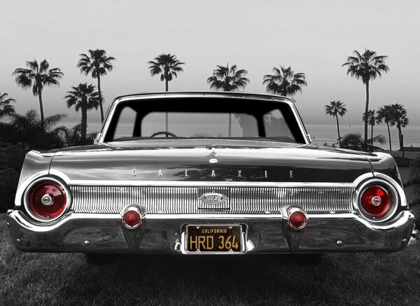 Art Photography Ford Galaxie 500XL, Larry Butterworth, (40 x 30 cm)