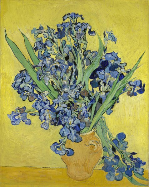 Vincent van Gogh - Fine Art Print Irises, 1890, (30 x 40 cm)