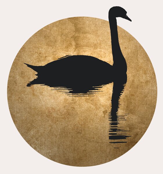 Illustration The Swan, Kubistika, (26.7 x 40 cm)