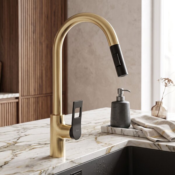 Kitchen faucet Rea SOUL Gold Black
