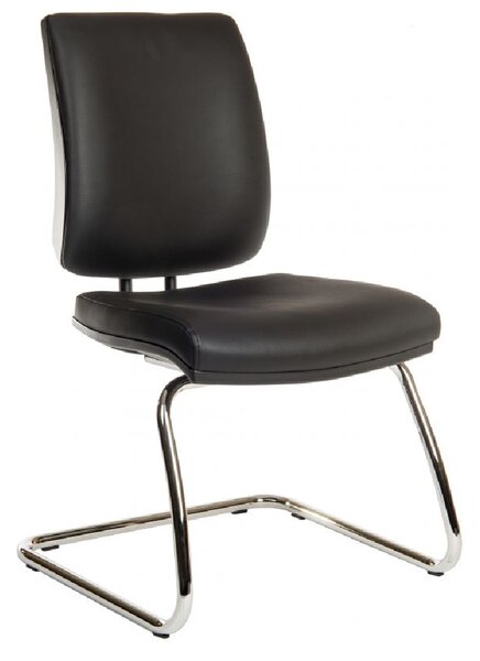 Earlville Leather Home And Office Chair With Chrome Legs In Black