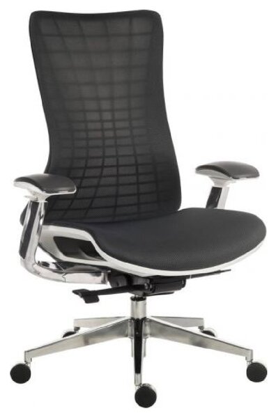 Quincy Fabric Home And Office Chair With White Frame In Black