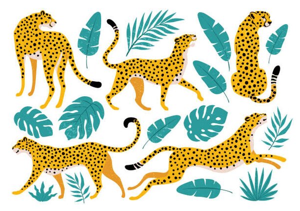 Photography Vector set of leopards and tropical, Angelina Bambina