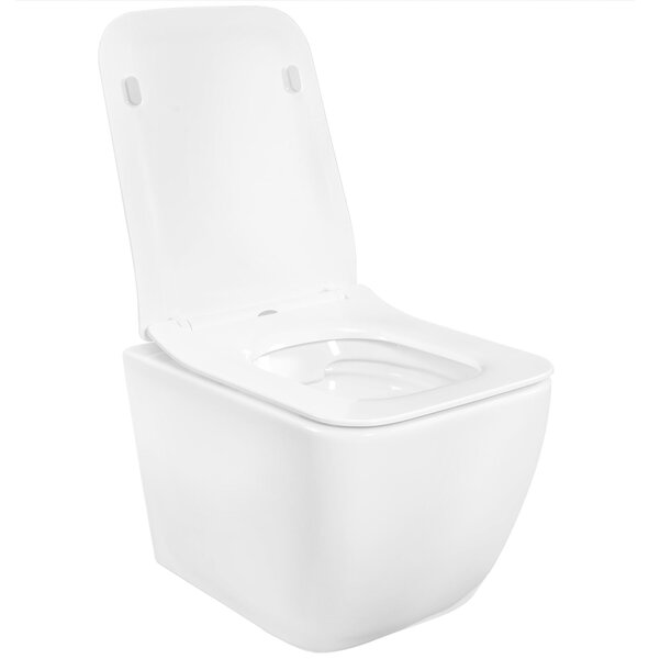 TOILET BOWL REA MARTIN SLIM RIMLESS DUROPLAST