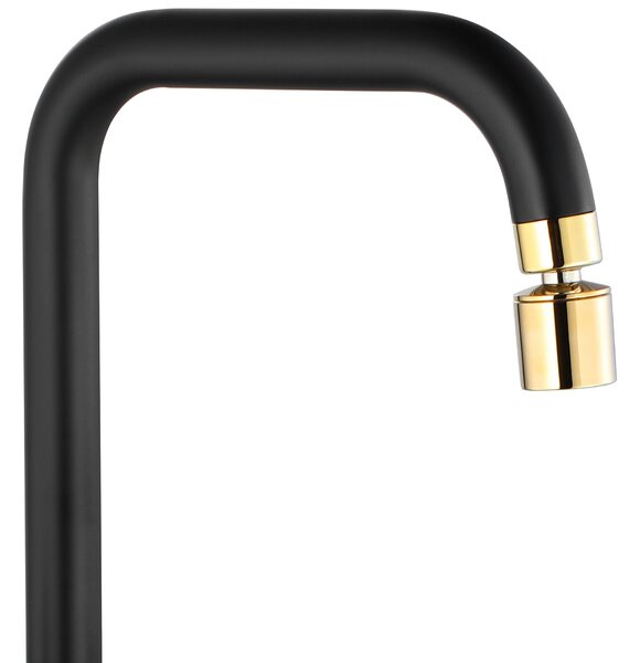 Kitchen faucet Rea Polo Black Gold