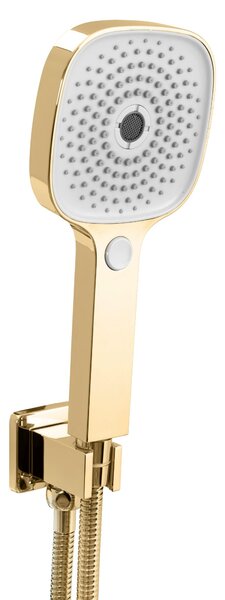 Shower set REA ORIX Gold BOX