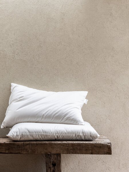 British Wool Pillow | Square x Soft | Piglet in Bed