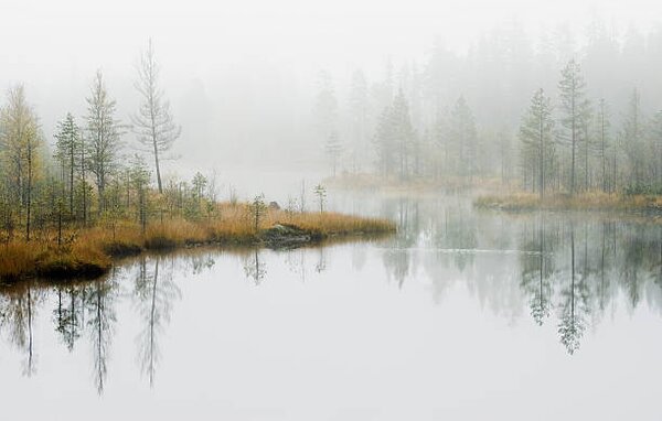 Photography Water in forest, Roine Magnusson