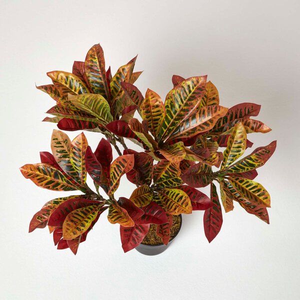 Artificial Croton Plant – Red Rushfoil with Lifelike Leaves, 65cm