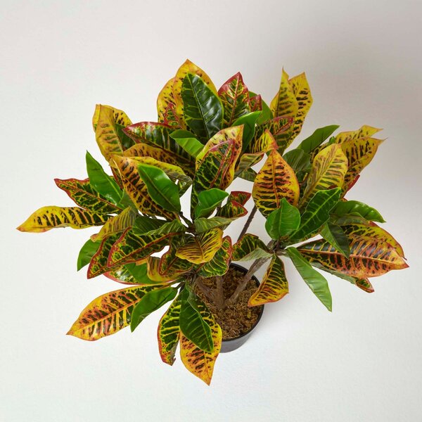 Artificial Croton Plant – Green Rushfoil with Lifelike Leaves, 65cm