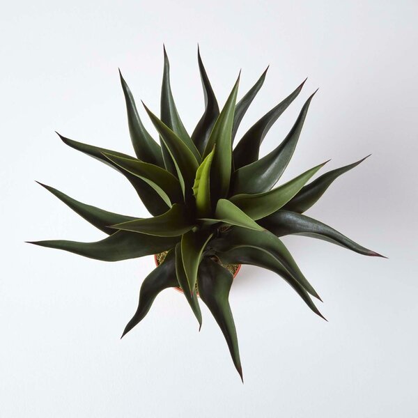 Green ‘Century Plant’ Artificial Agave Americana In Pot, 60cm Tall