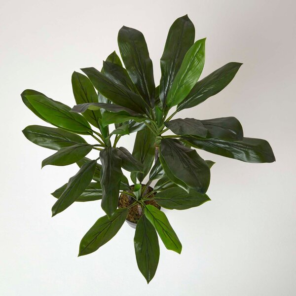 Artificial Cordyline Plant with Large Green Leaves, 100 cm Tall