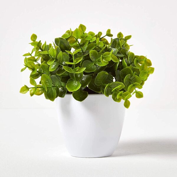 Small Artificial Eucalyptus Plant In White Plastic Pot, 16cm Tall