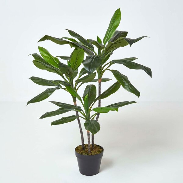 Artificial Cordyline Plant with Large Green Leaves, 100 cm Tall