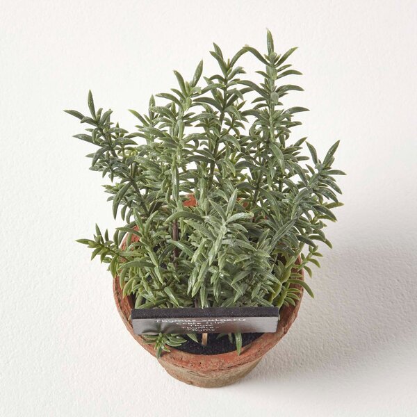 Homescapes Artificial Herb Thyme Plant in Decorative Pot