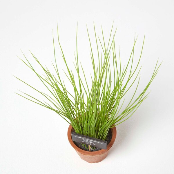 Homescapes Artificial Herb Chive Plant in Decorative Pot