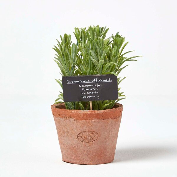 Homescapes Artificial Herb Rosemary Plant in Decorative Pot