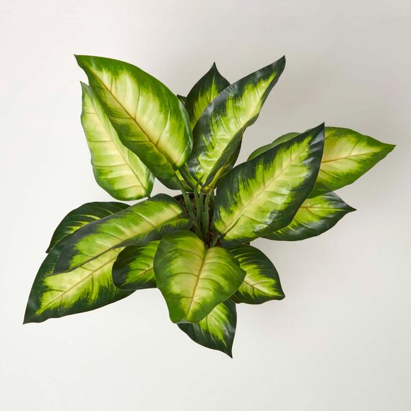 Homescapes Artificial Dieffenbachia Dumb Cane Plant in Pot 50 cm Tall