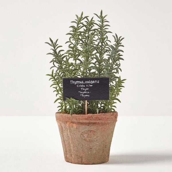 Homescapes Artificial Herb Thyme Plant in Decorative Pot