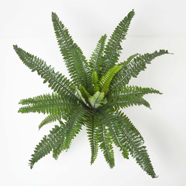 Homescapes 60 cm Tall Boston Fern Artificial Fern Plant in Pot