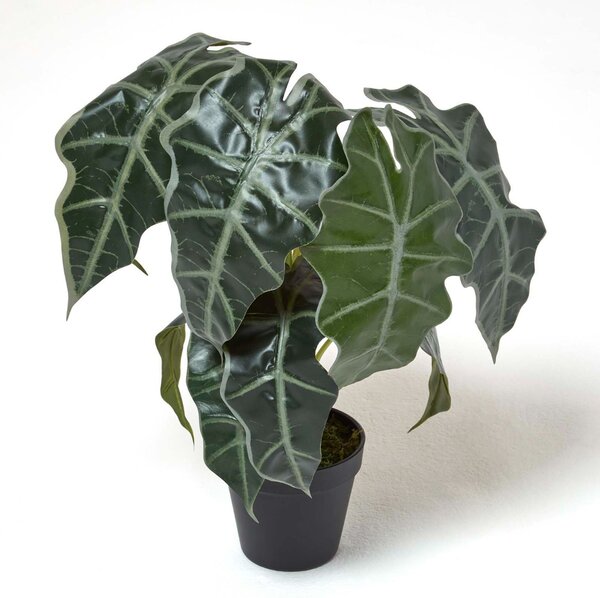 Homescapes Artificial Elephant Ear Plant in Pot 50 cm Tall Amazonica