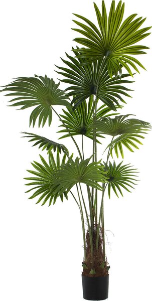 Decorative Plant Alexandra House Living Plastic Palm tree 180 cm